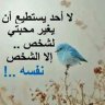 mostafa hassan