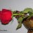 ُEboo.9